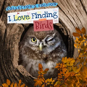 I Love Finding Birds